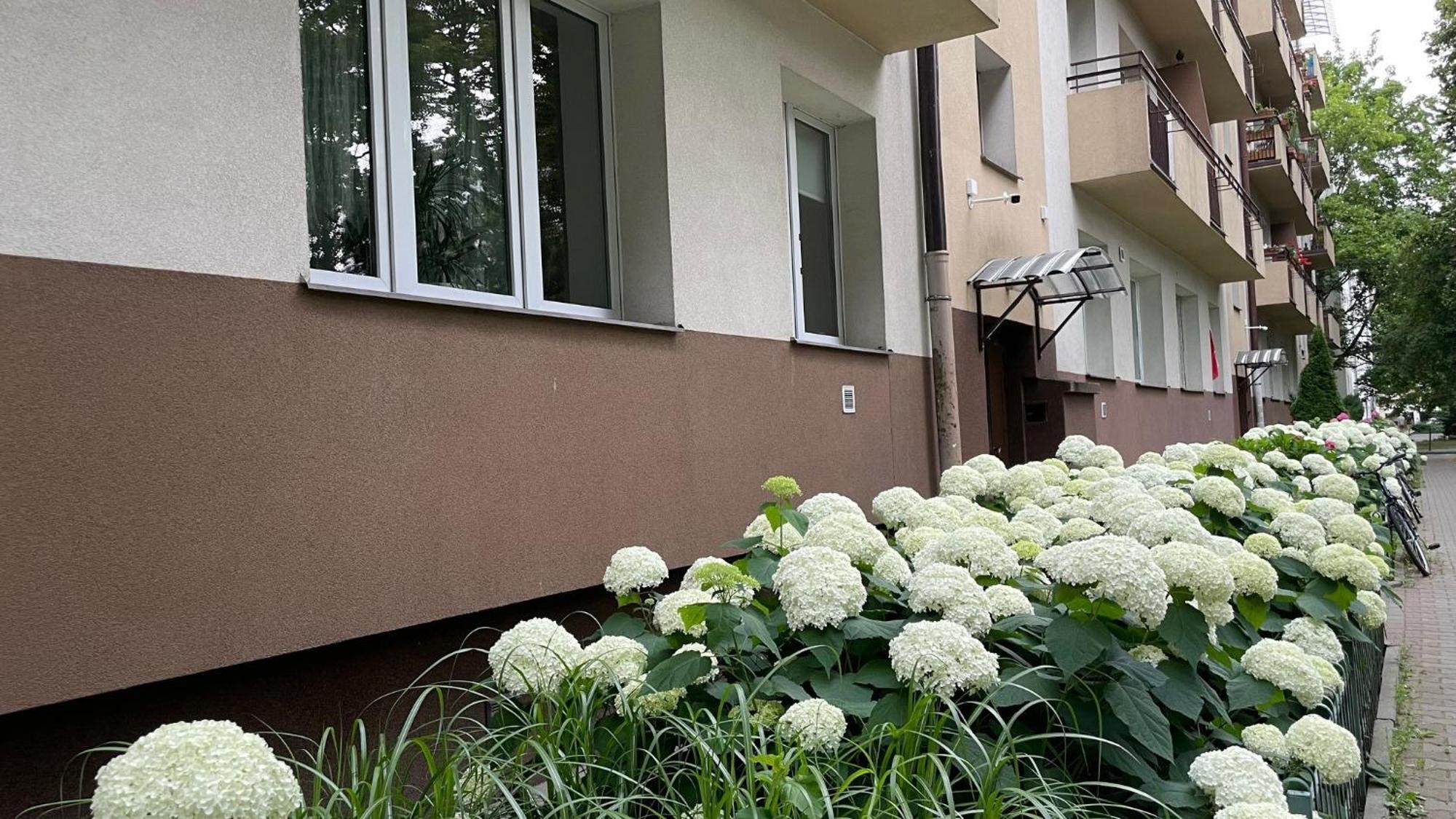 Na Muranowie - Mieszkanie Z Historia I In Muranow - A Flat With History Apartament